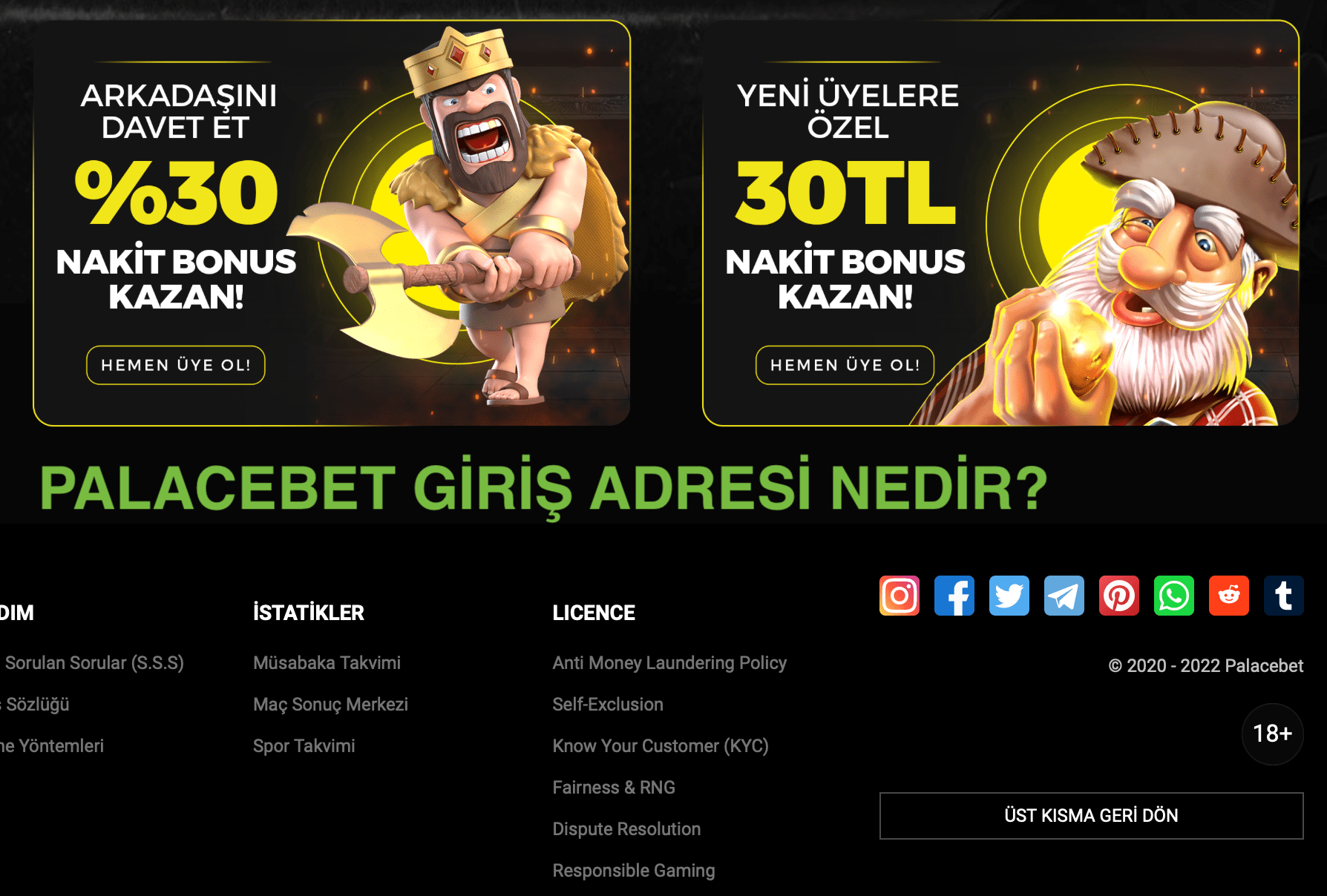 Lottomart 365 1 palacebet giris adresi nedir